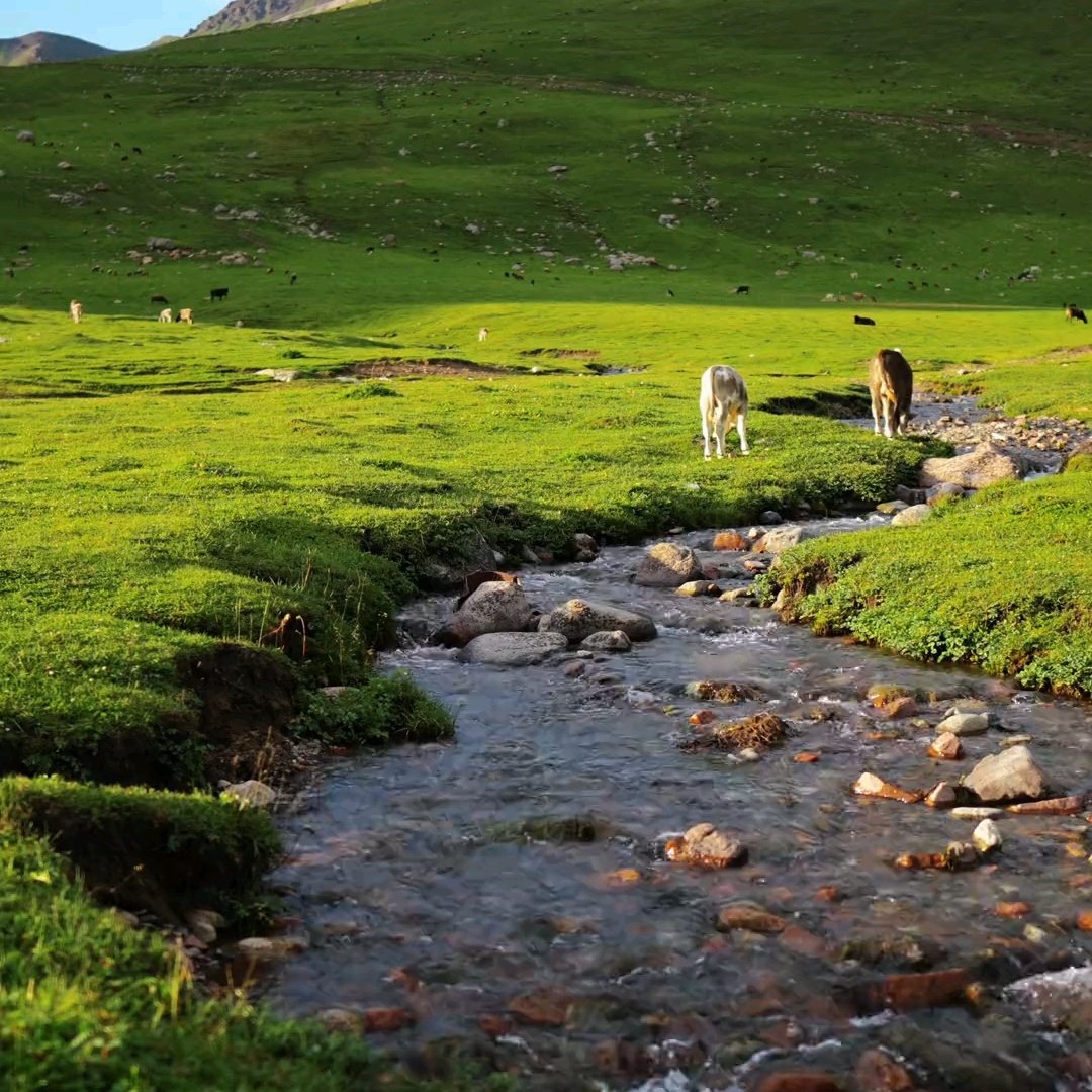 新疆华美胜地那拉提英迪格酒店住宿+那拉提草原成人门票