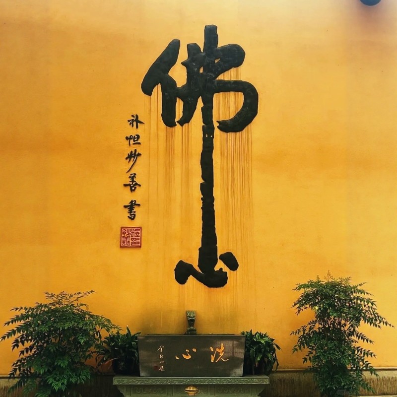 浙江舟山跳岛双享|欢朋3天2晚+普陀山&大青山门票买1送1·佛海同游