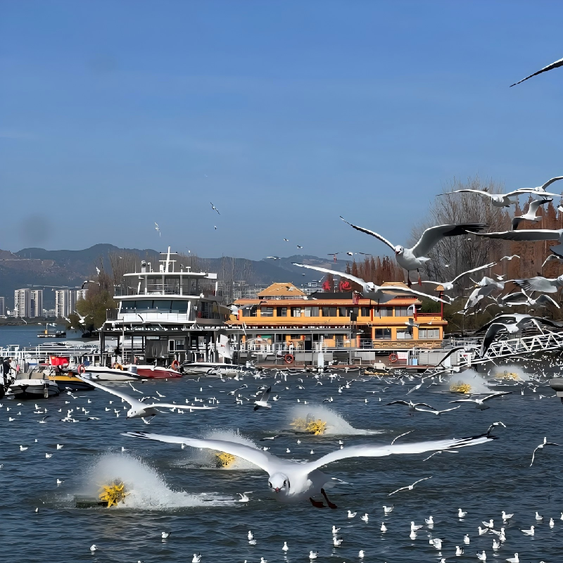 昆明洲际酒店豪华住宿+昆明石林风景区成人票