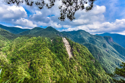 柳泉饶山图片