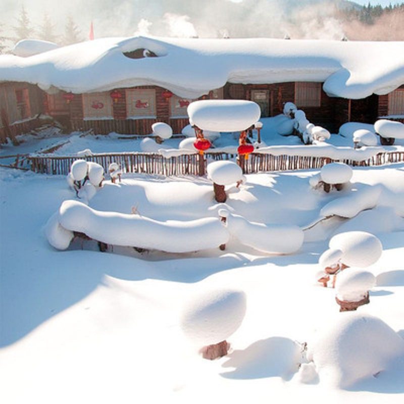 【0购物】北国奇梦冬趣雪乡5天(1 晚五钻枫叶小镇温泉度假) - 定制游预订