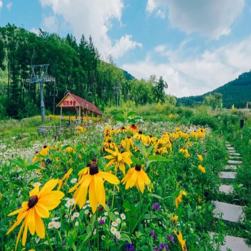 【双11早鸟】长白山万达滑.雪温泉水乐园+智选假日\悦华\momoland酒店3选1