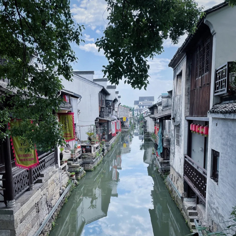 封顶9人小团丨无锡灵山大佛+鼋头渚+太湖仙岛1日游 - 定制游预订