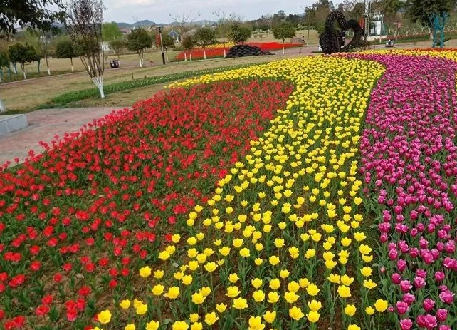 花海图片