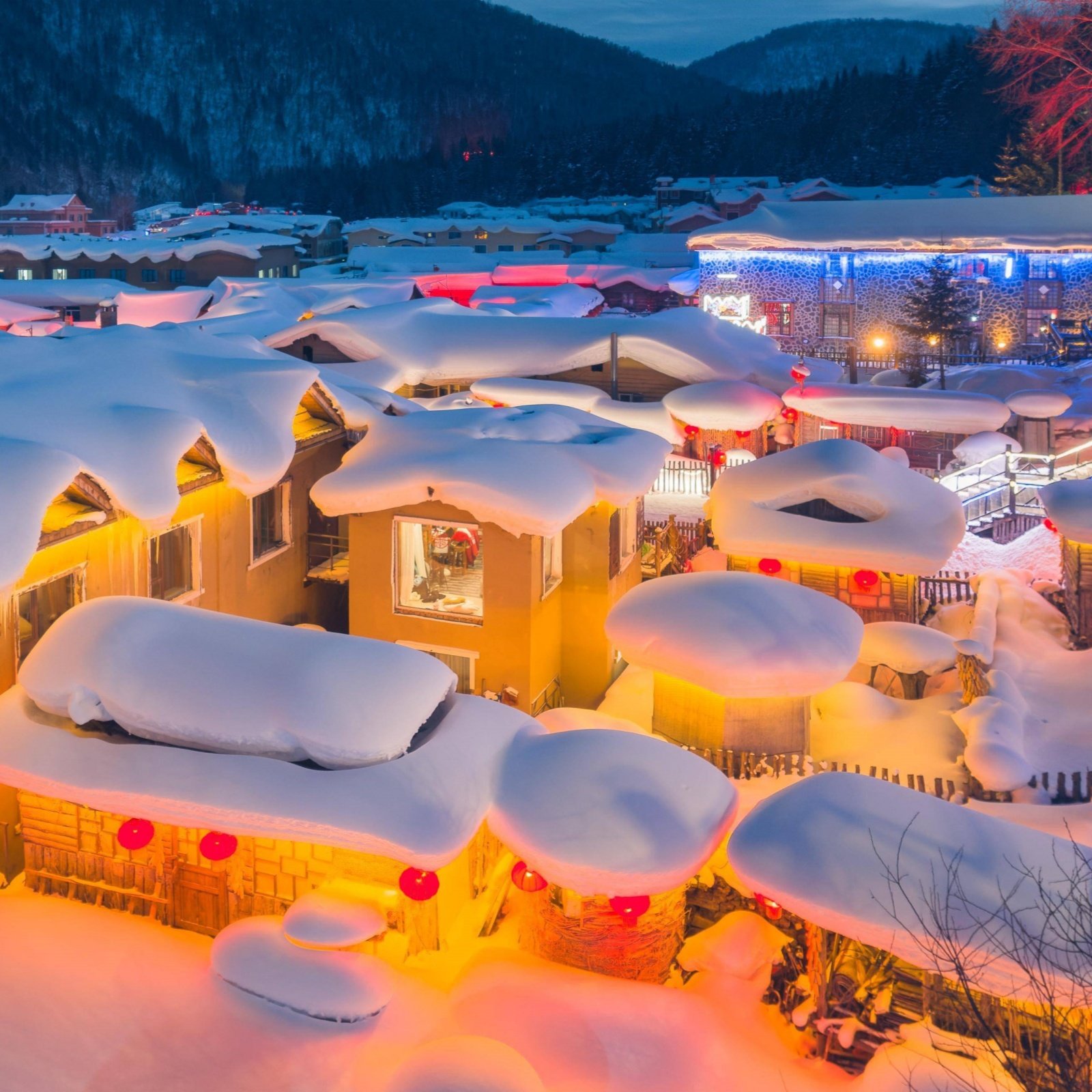 哈尔滨旅游哈尔滨旅游跟团哈尔滨雪乡旅游 - 定制游预订