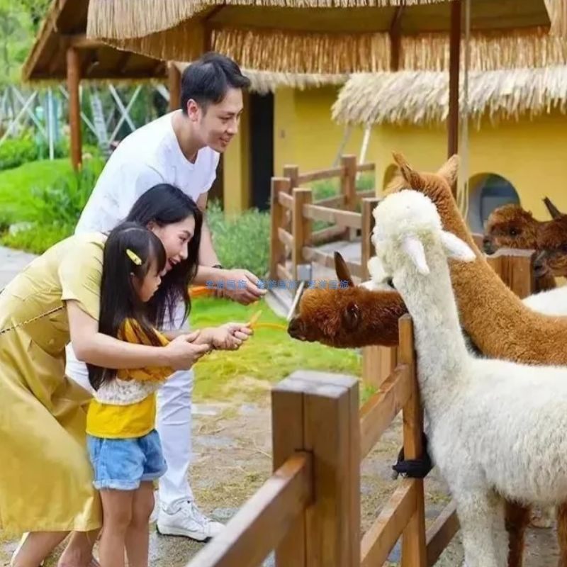 钜惠|珠海海泉湾帆酒店2天1晚套票含2大2小海洋温泉/神秘岛/萌宠乐园/梦幻剧场