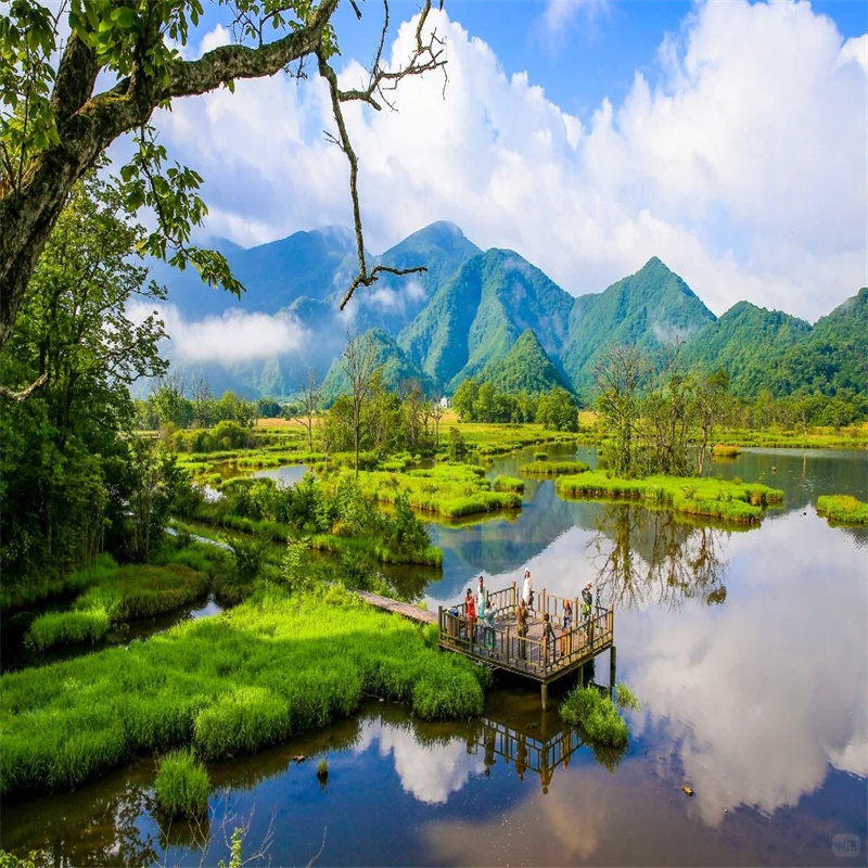 【私家包车游|神农架+大九湖经典3日游】林区2晚连住 含品特色餐 - 定制游预订