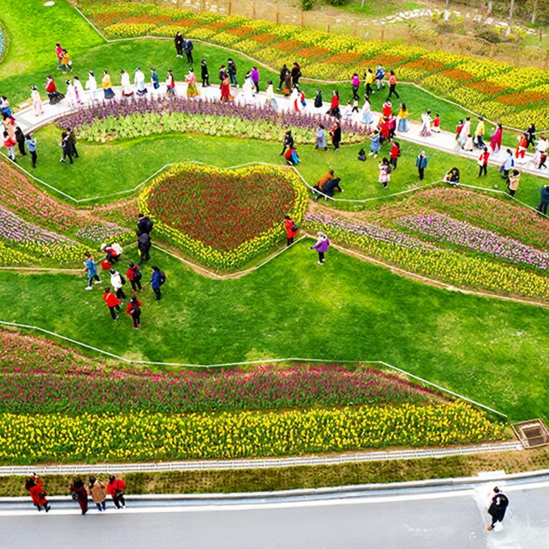 Y【英山森呼吸】四季花海花乐汤/华美达/花海里/养心苑/南武当