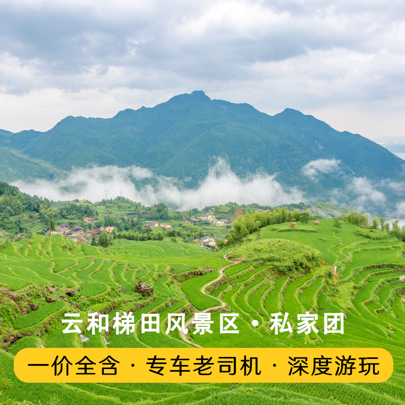 丽水云和梯田九曲云环+白银谷+古堰画乡+1人起订含门票一日游 - 定制游预订