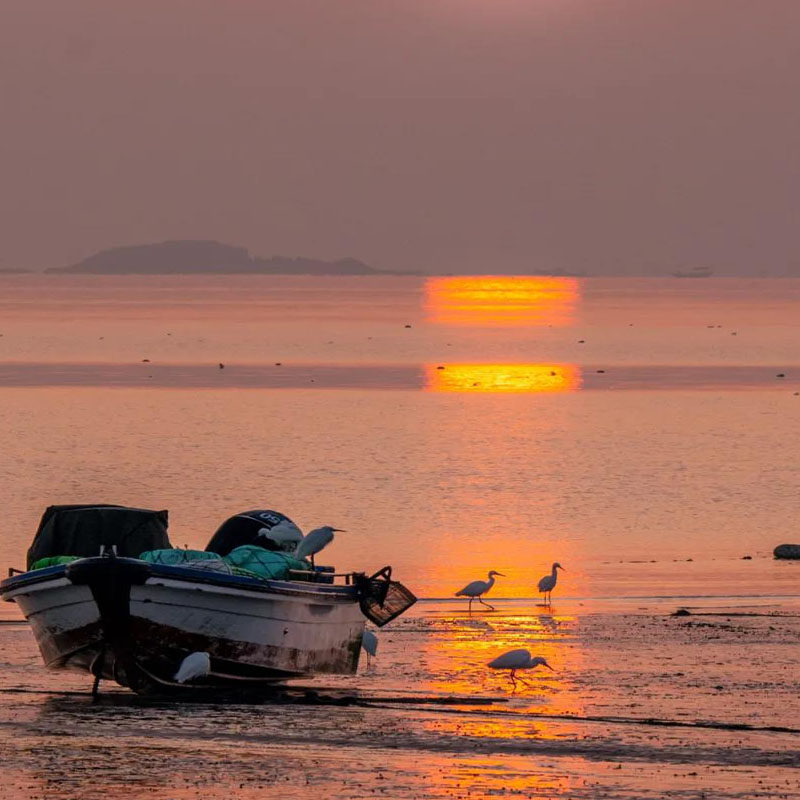 福州平潭岛一日游A线~纯玩团 - 定制游预订