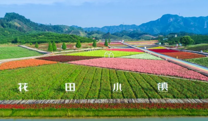 花田小镇图片