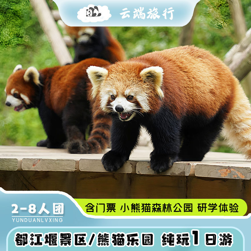 2-8人小团 都江堰水利工程 小熊猫森林公园 熊猫乐园纯玩一日游 - 定制游预订