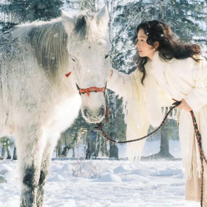 高铁火车出发新疆乌鲁木齐北疆环线9日自由行 - 定制游预订