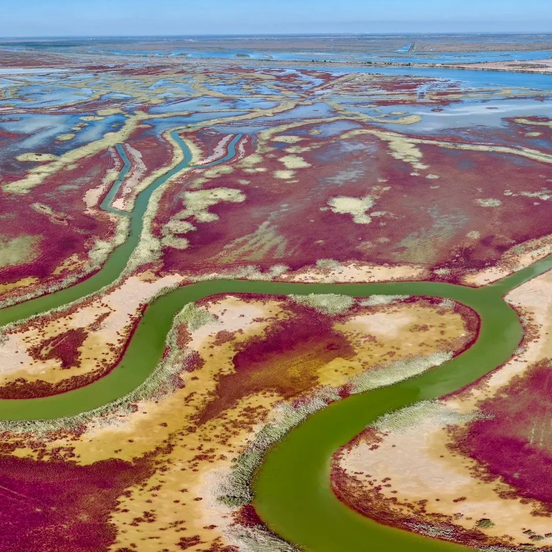 柏曼酒店(东营光谷未来城店)+黄河口生态旅游区成人门票+往返观光车