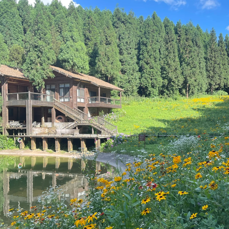 【2大1小】武陵山森林公园酒店2天1晚+武陵山森林公园门票3张+3份早餐