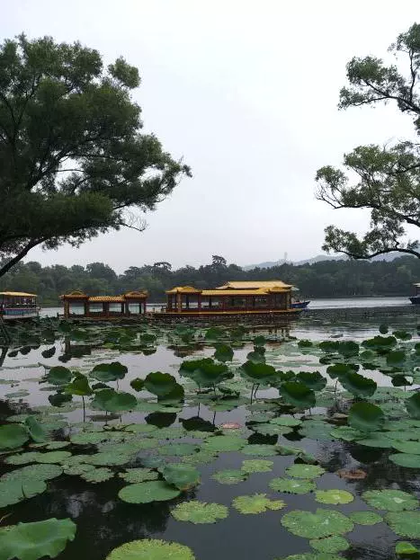 曲水荷香图片