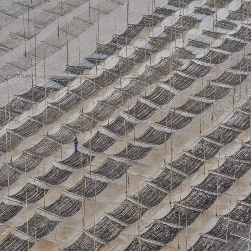 福建霞浦滩涂旅游摄影天堂 2日1晚 跟团游 【2人成团 天天发团】 - 定制游预订