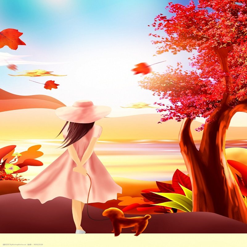 桂林出发桂林旅游5天4晚漓江阳朔西街亲子攻略五日跟团游旅游包车 - 定制游预订