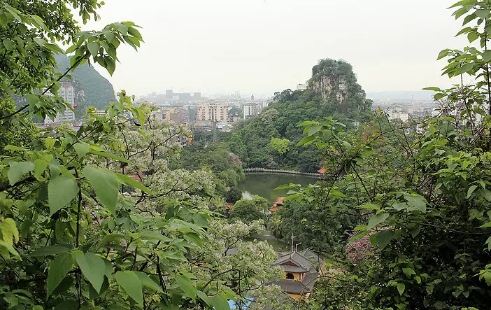 鱼峰山图片