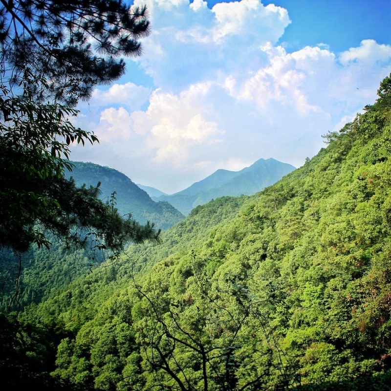 【湖光森屿亲子奢享】3天2晚千岛湖明豪国际度假酒店套餐+千岛湖森林氧吧门票