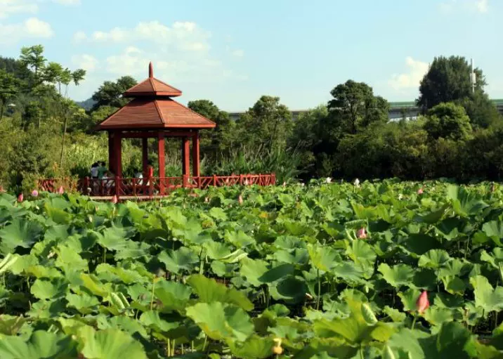 花溪国家城市湿地公园