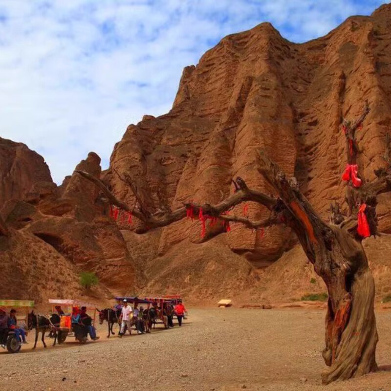 黄河石林永泰古城一日游送/接中川机场纯玩户外旅行社