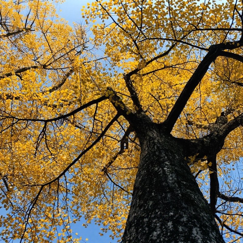 【墅享田园】3天2晚长兴芳草地度假酒店+霞幕湖/八都岕双景任选