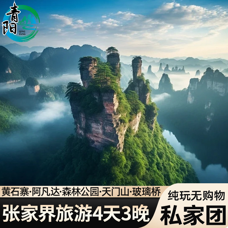 慢享VIP私家团 张家界旅游4天3晚纯玩森林公园天门山大峡谷玻璃桥 - 定制游预订