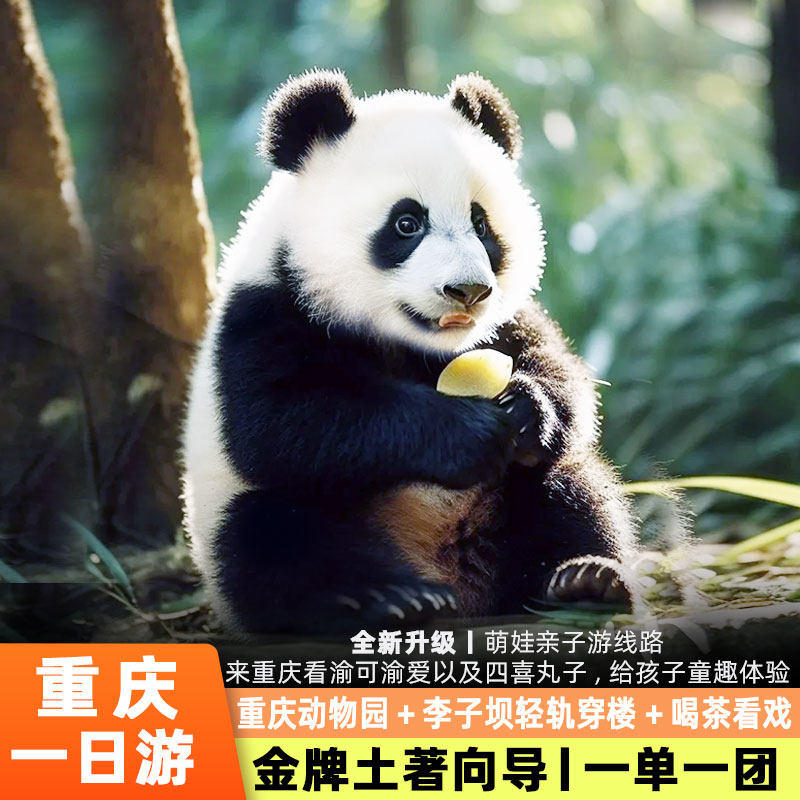 萌娃亲子重庆一日游独立私家小团重庆动物园李子坝轻轨穿楼洪崖洞 - 定制游预订