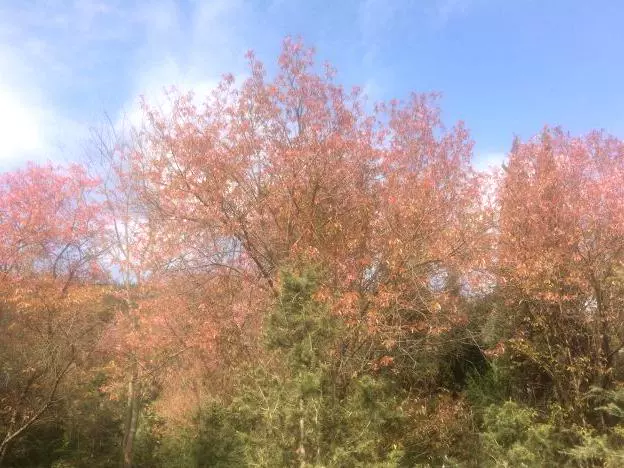 滇池国家重点风景名胜区石城景区图片