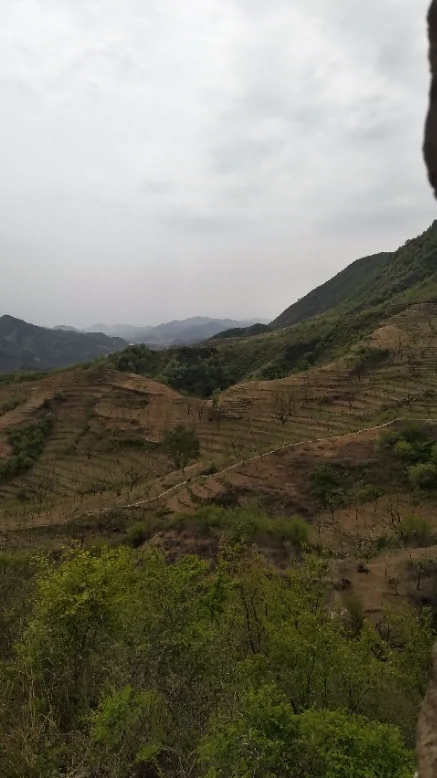 青山关景区-八面峰图片