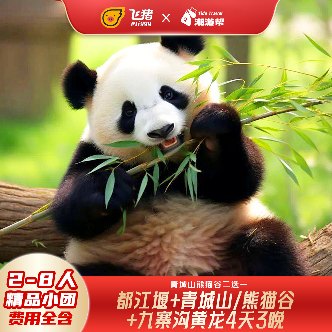 成都旅游出发熊猫基地三星堆九寨沟黄龙动车4日纯玩2-8人跟团游 - 定制游预订