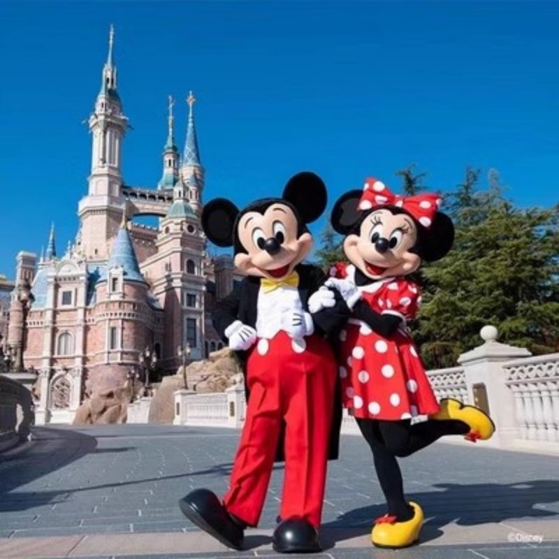 不用补价 | 上海浦东丽呈华廷酒店1晚+上海迪士尼乐园家庭套票