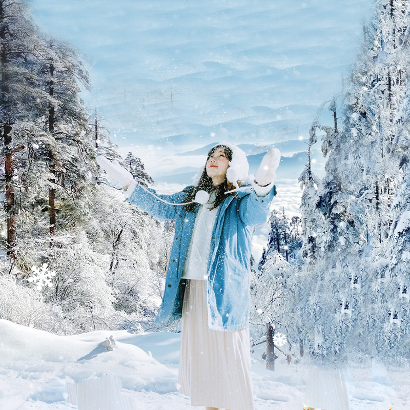 8人拼小团东北吉林雾凇雪乡长白山天池长春伪满皇宫冰雪新天地6日