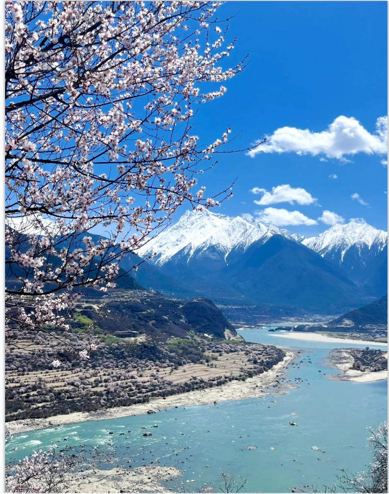 4人小团西藏旅游林芝索松村新措徒步羊湖纳木措5天4晚拼车 - 定制游预订