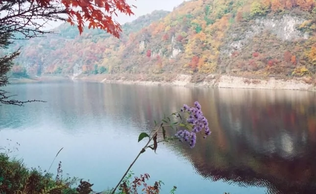 松花江三湖保护区图片