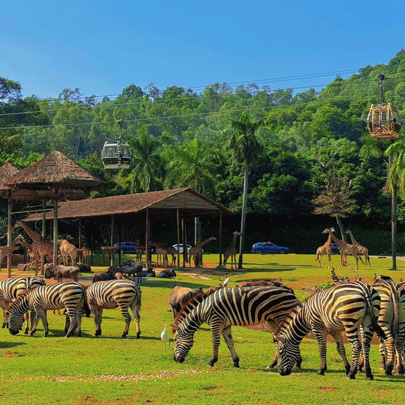 高铁直达广东广州珠海4天3晚自由行 - 定制游预订