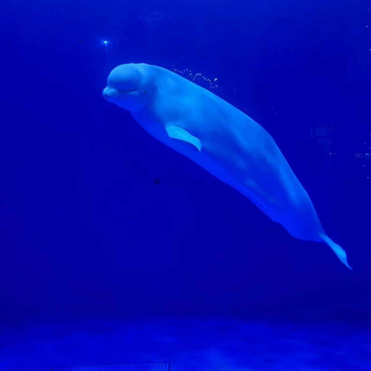 徐州欧乐堡海洋酒店住宿+欧乐堡童话世界和海洋极地世界门票无限次入园 - 定制游预订