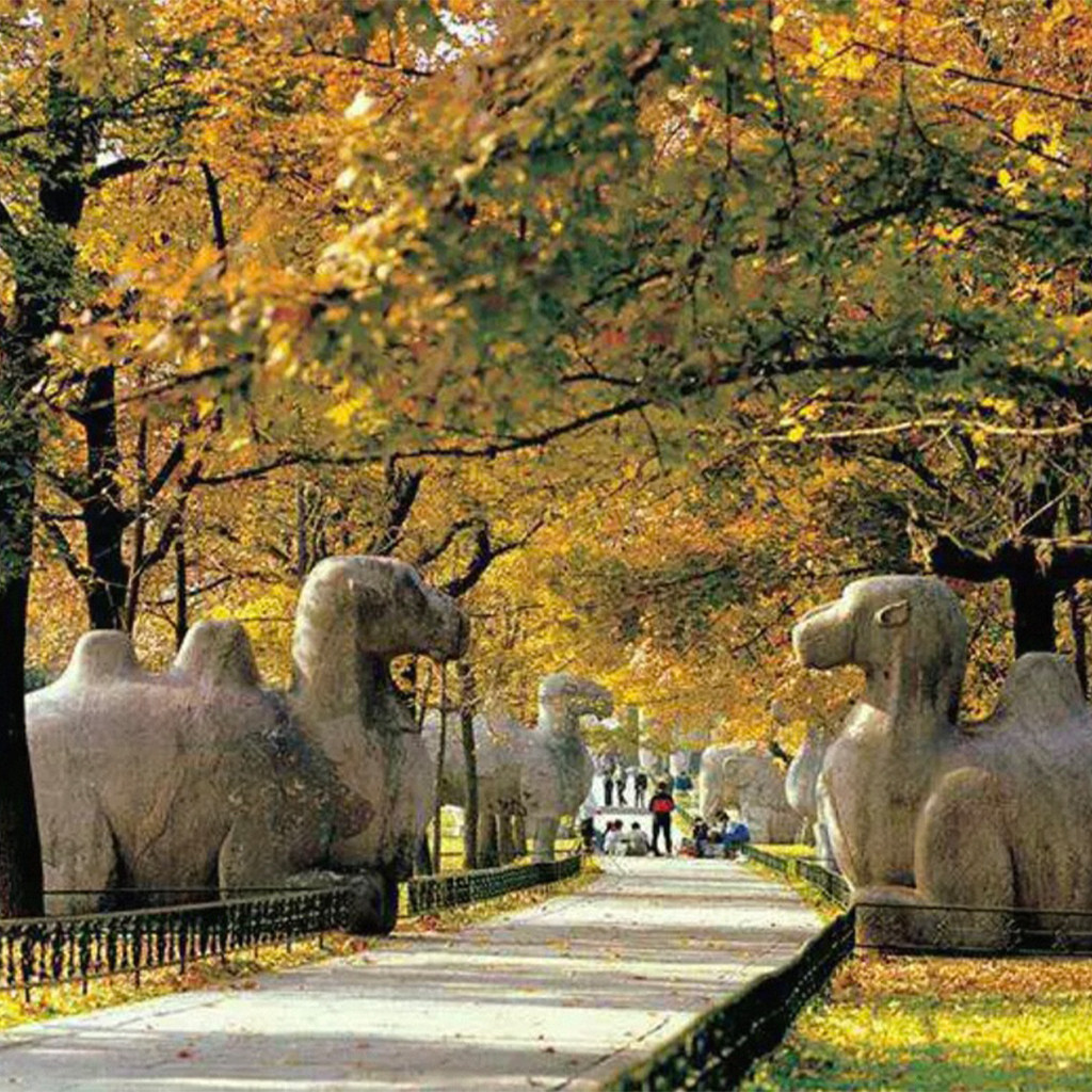 【漫步六朝古都】2晚江苏南京泊金花间境·琵琶山居+明孝陵多景点套票+海底世界门