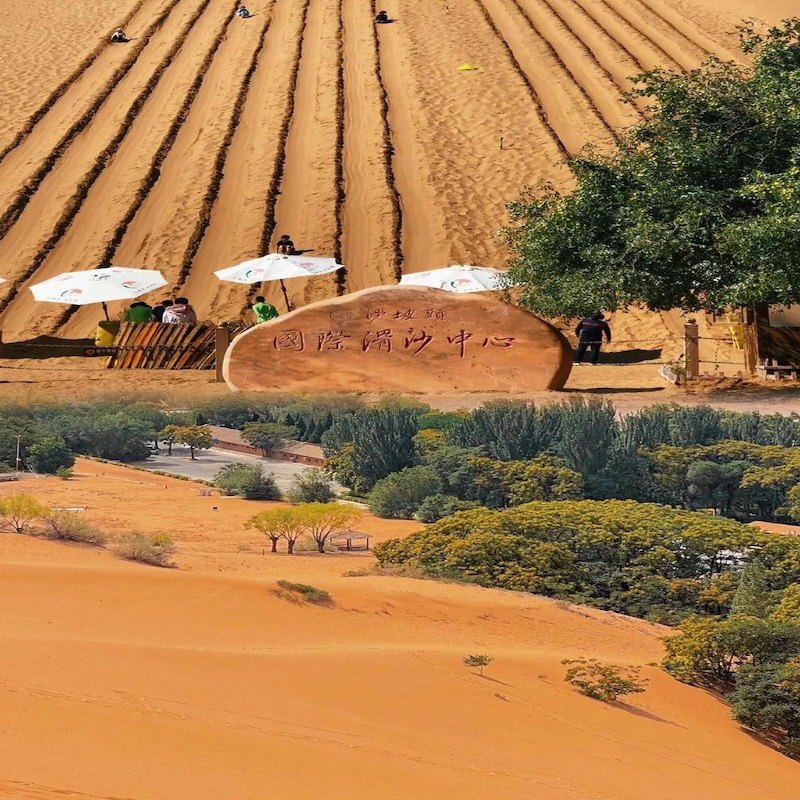 宁夏精品酒店住宿+沙坡头门票