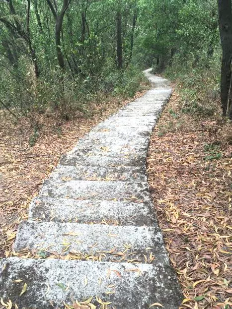 小浮莲休闲登山径图片