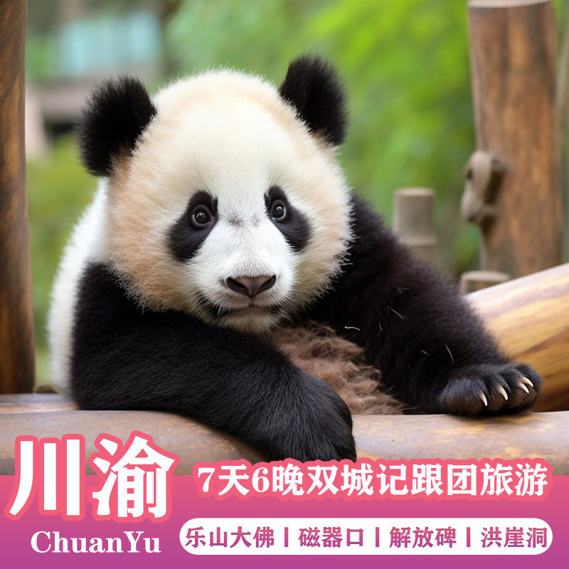 重庆+峨眉山+乐山大佛+都江堰熊猫乐园7天6晚跟团游磁器口洪崖洞 - 定制游预订