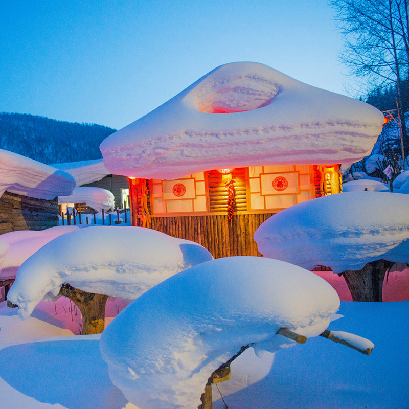 【私家团】东北哈尔滨旅游亚布力雪乡冰雪大世界5天4晚纯玩跟团游
