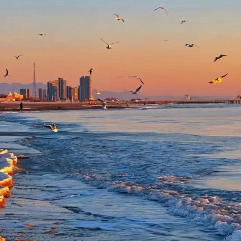 【乐享】秦皇岛黄金海岸龙华园海景酒店杠上开花海景大床房两天一晚+鸽子窝公园