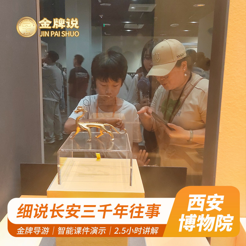 金牌说●西安博物院讲解2.5H金牌导游小雁塔讲解大咖解说12人小团 - 定制游预订