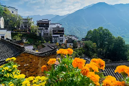 篁岭景区-1号观景台图片