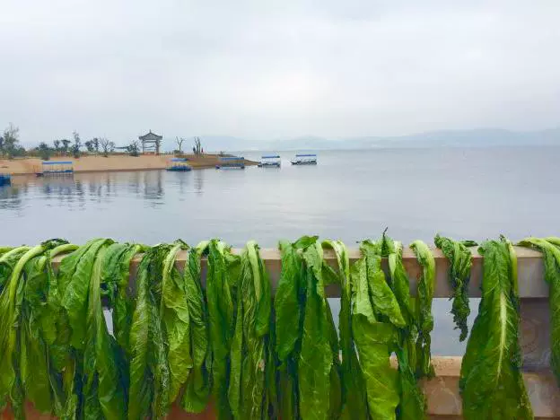 碧风湾沙滩图片