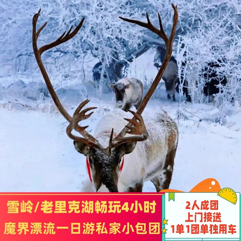 2人1车长白山雪岭/老里克湖魔界漂流一日游延吉二道万达上门接送 - 定制游预订