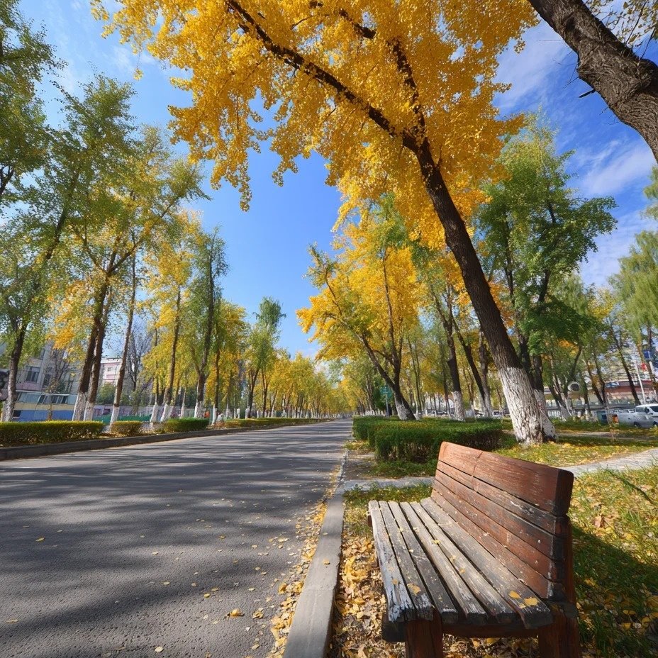 维也纳国际酒店(益阳桃江东方新城店)住宿+桃花江竹海景区成人门票