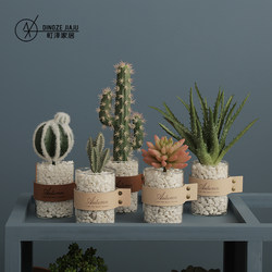 ins Internet-Famous Artificial Succulent Plant Potted Ornaments for Home Living Room Decoration Nordic Style Decorative Cactus Small Bonsai